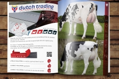 DUTCH-TRADING-Oferta-Speciala