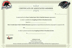 Diploma-Membru