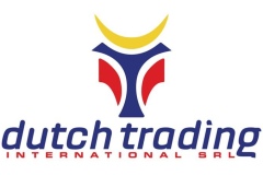 logo_grafica_design_dutch_trading